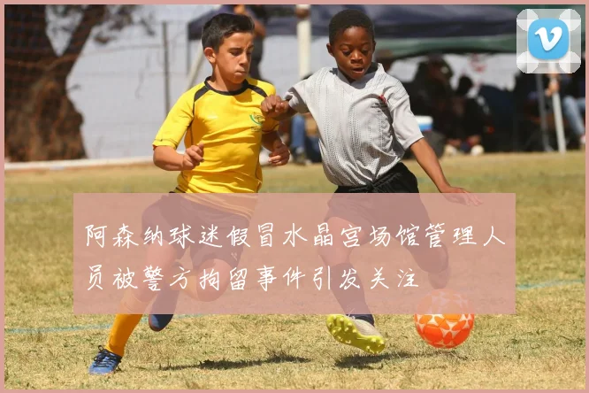 阿森纳球迷假冒水晶宫场馆管理人员被警方拘留事件引发关注
