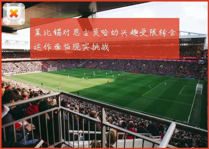 莱比锡对恩古莫哈的兴趣受限转会运作面临现实挑战